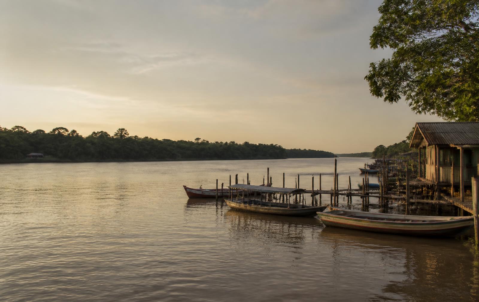 Paisagem ribeirinha do rio Tocantins, na região de Mocajuba, Pará